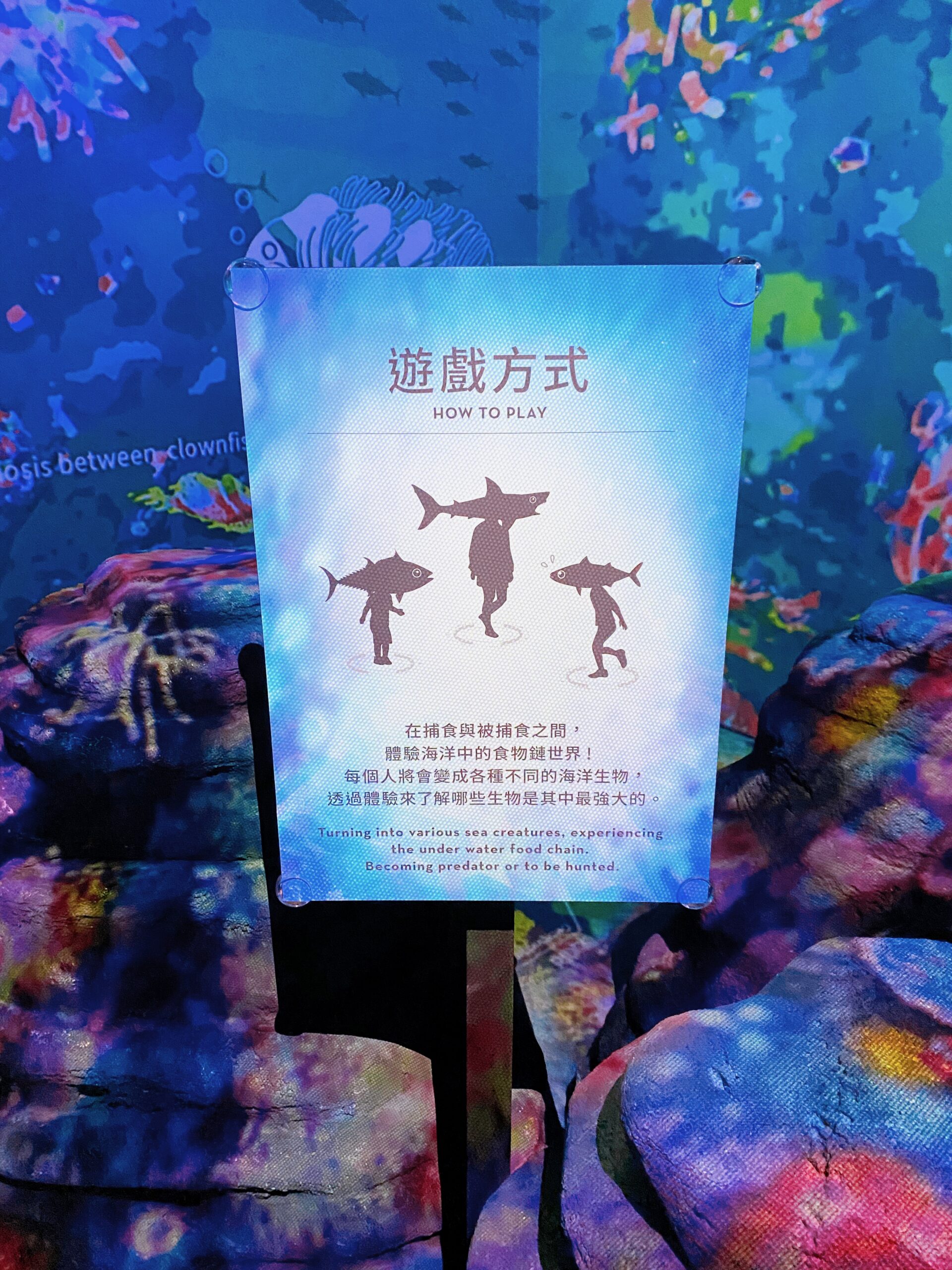 《台北逛逛》NAKED OCEAN IN TAIPEI 光之影海洋展，小孩也適合！360度光影沉浸式展覽好好拍(價目表) @神農太太底家