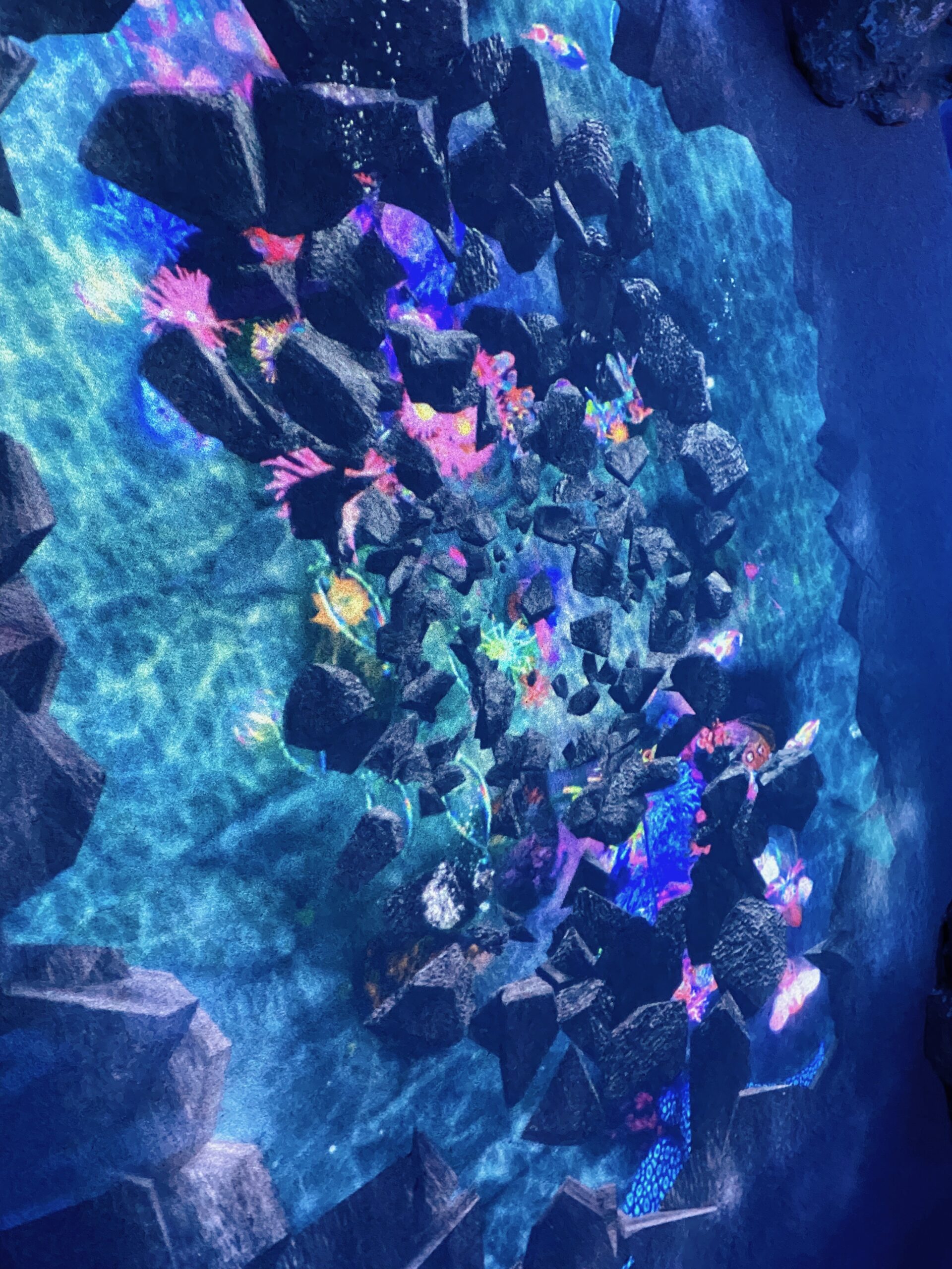 《台北逛逛》NAKED OCEAN IN TAIPEI 光之影海洋展，小孩也適合！360度光影沉浸式展覽好好拍(價目表) @神農太太底家