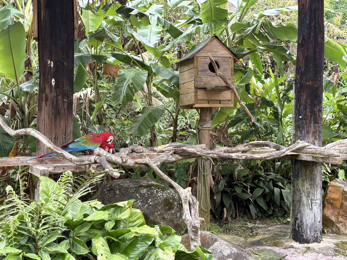 《新竹親子景點》綠世界生態農場，超多可愛動物近距離互動(票價 地圖 交通方式) @神農太太底家