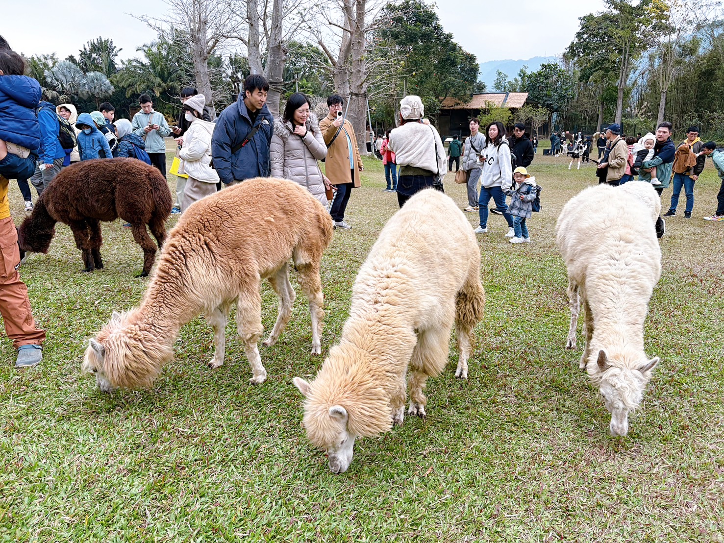 《新竹親子景點》綠世界生態農場，超多可愛動物近距離互動(票價 地圖 交通方式) @神農太太底家