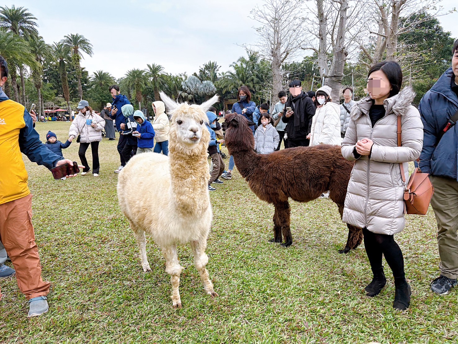 《新竹親子景點》綠世界生態農場，超多可愛動物近距離互動(票價 地圖 交通方式) @神農太太底家