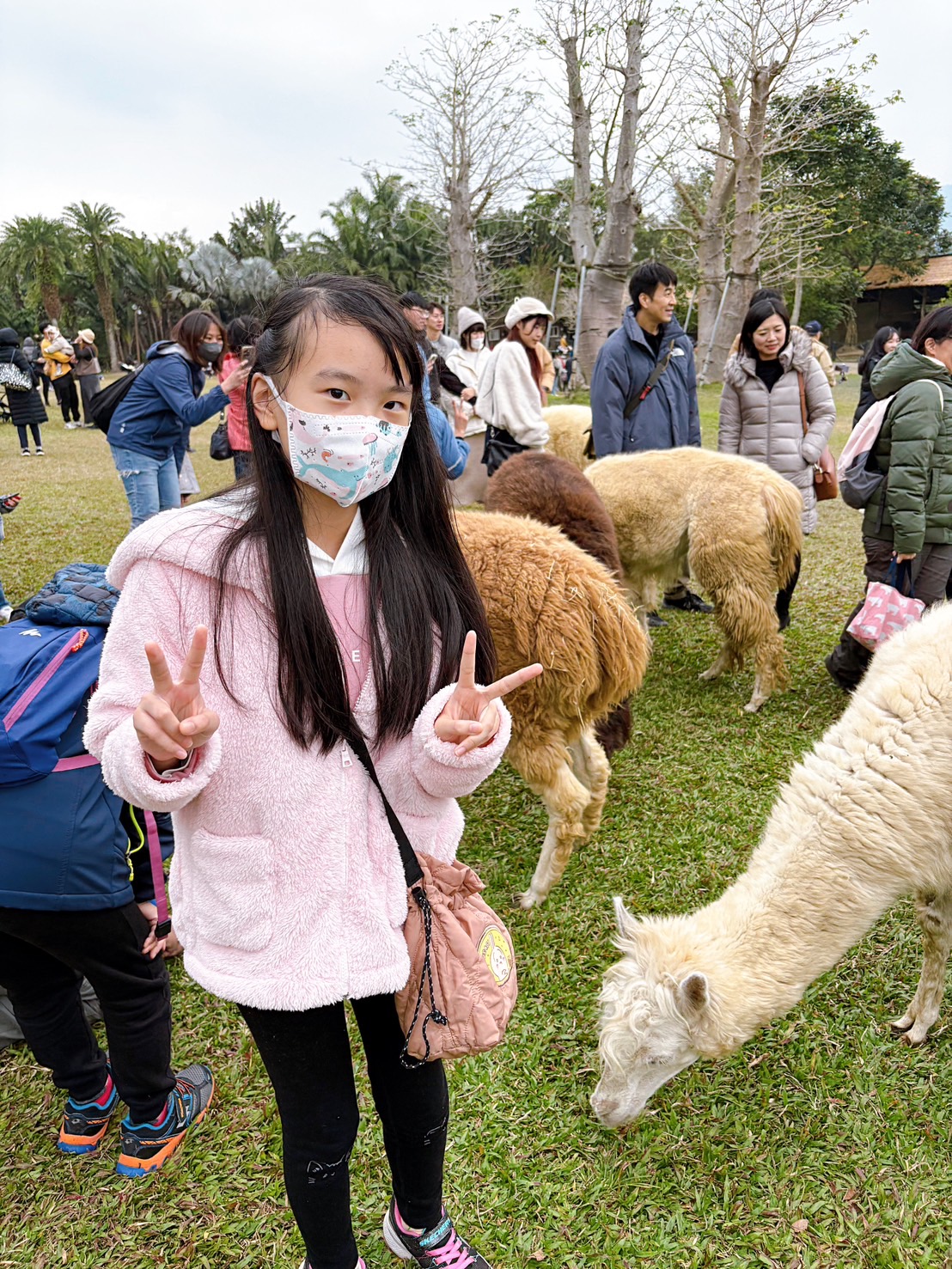 《新竹親子景點》綠世界生態農場，超多可愛動物近距離互動(票價 地圖 交通方式) @神農太太底家