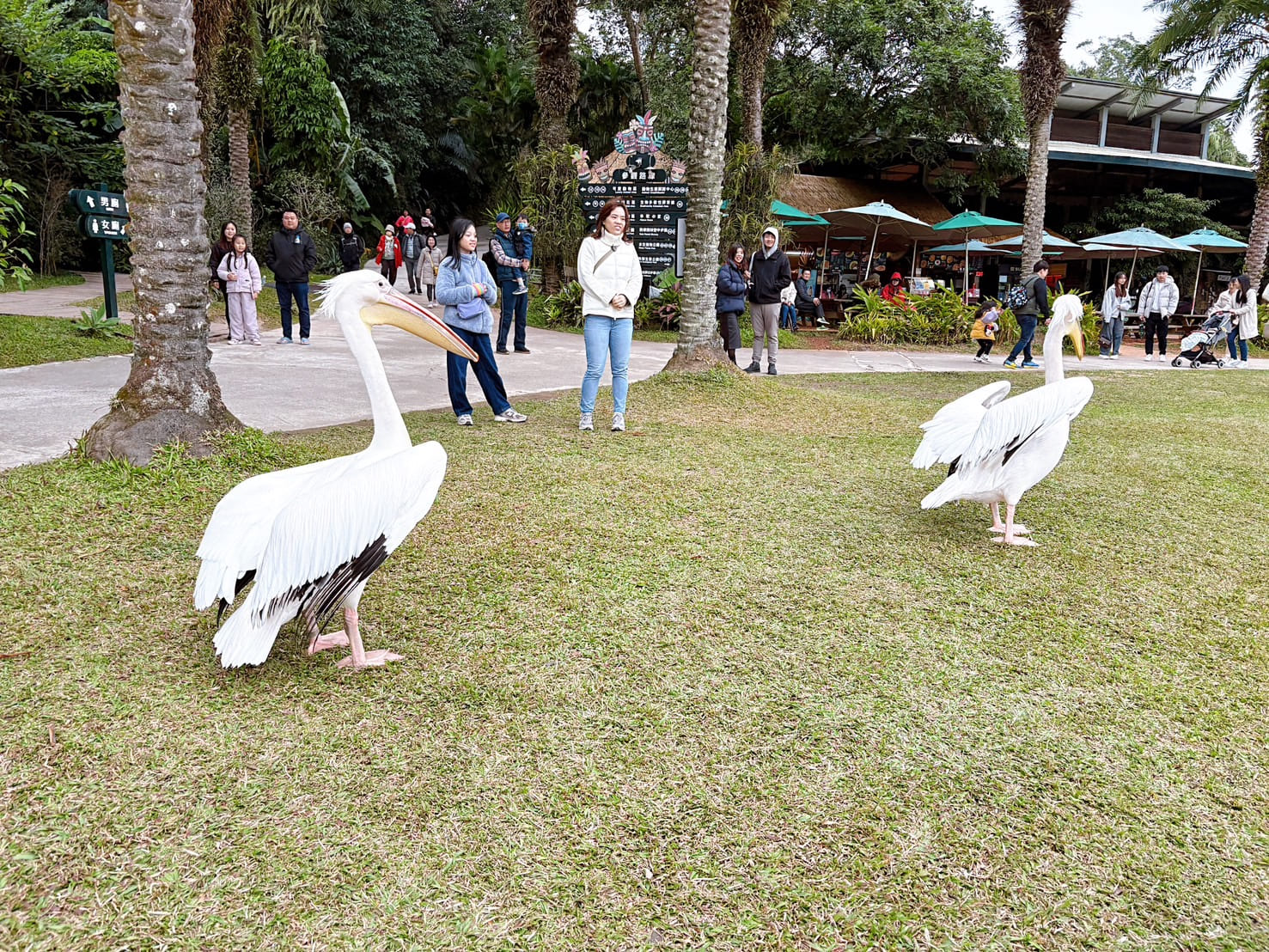 《新竹親子景點》綠世界生態農場，超多可愛動物近距離互動(票價 地圖 交通方式) @神農太太底家