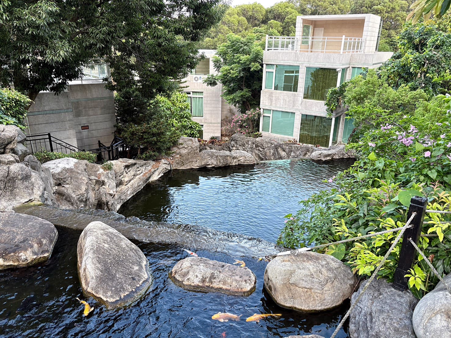 《台中住宿》清新溫泉飯店，房內泡湯、中式晚餐吃到飽、戶外泳池好好玩 @神農太太底家