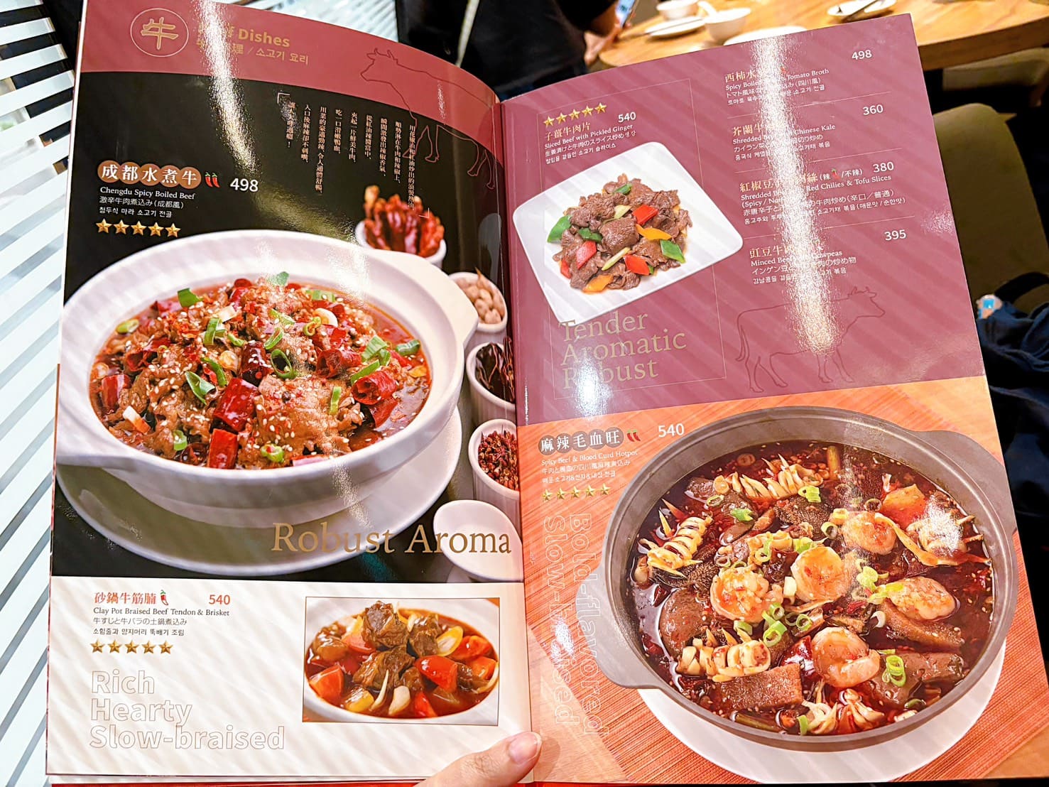 《林口美食》四川吳抄手林口店，三井OUTLET內米其林必比登推薦老店(菜單) @神農太太底家