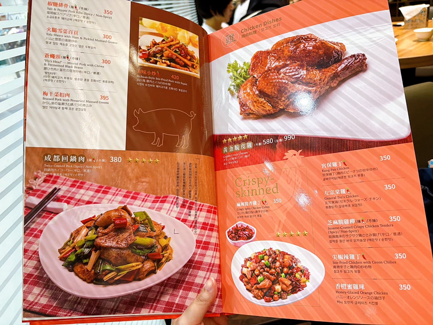 《林口美食》四川吳抄手林口店，三井OUTLET內米其林必比登推薦老店(菜單) @神農太太底家