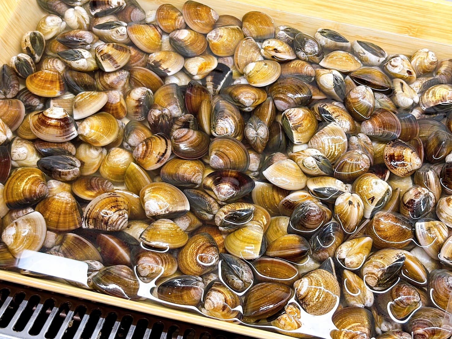 《桃園美食》大漠紅頂級蒙古鍋,溫體肉品質絕佳,單點品質吃到飽(菜單 價錢) @神農太太底家 《桃園美食》大漠紅頂級蒙古鍋,溫體肉品質絕佳,單點品質吃到飽(菜單 價錢) @神農太太底家